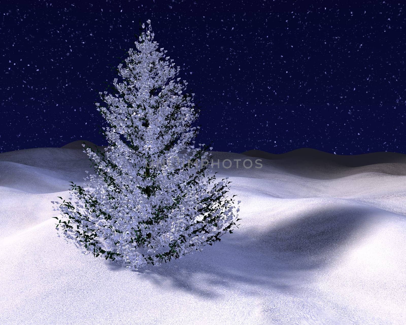 Holy Night
