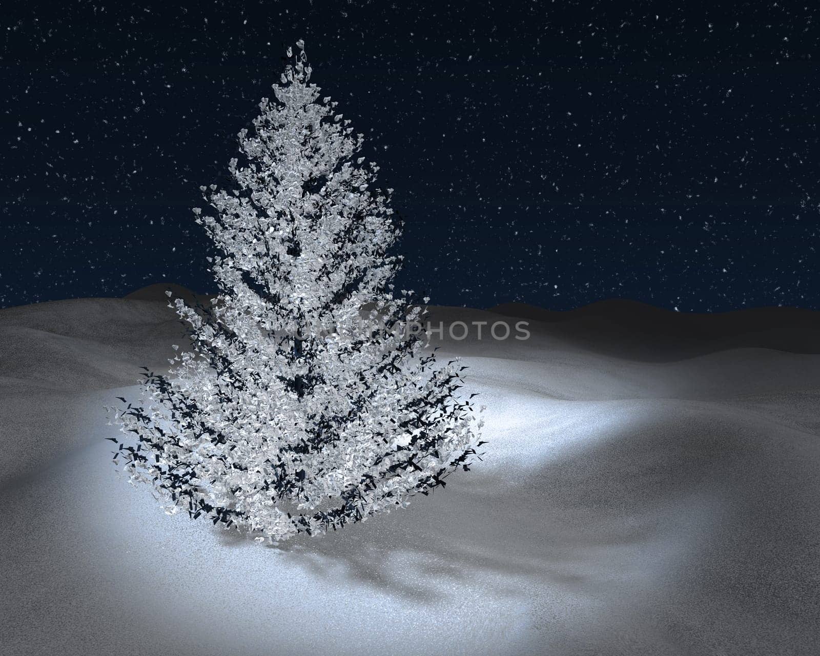 Holy Night