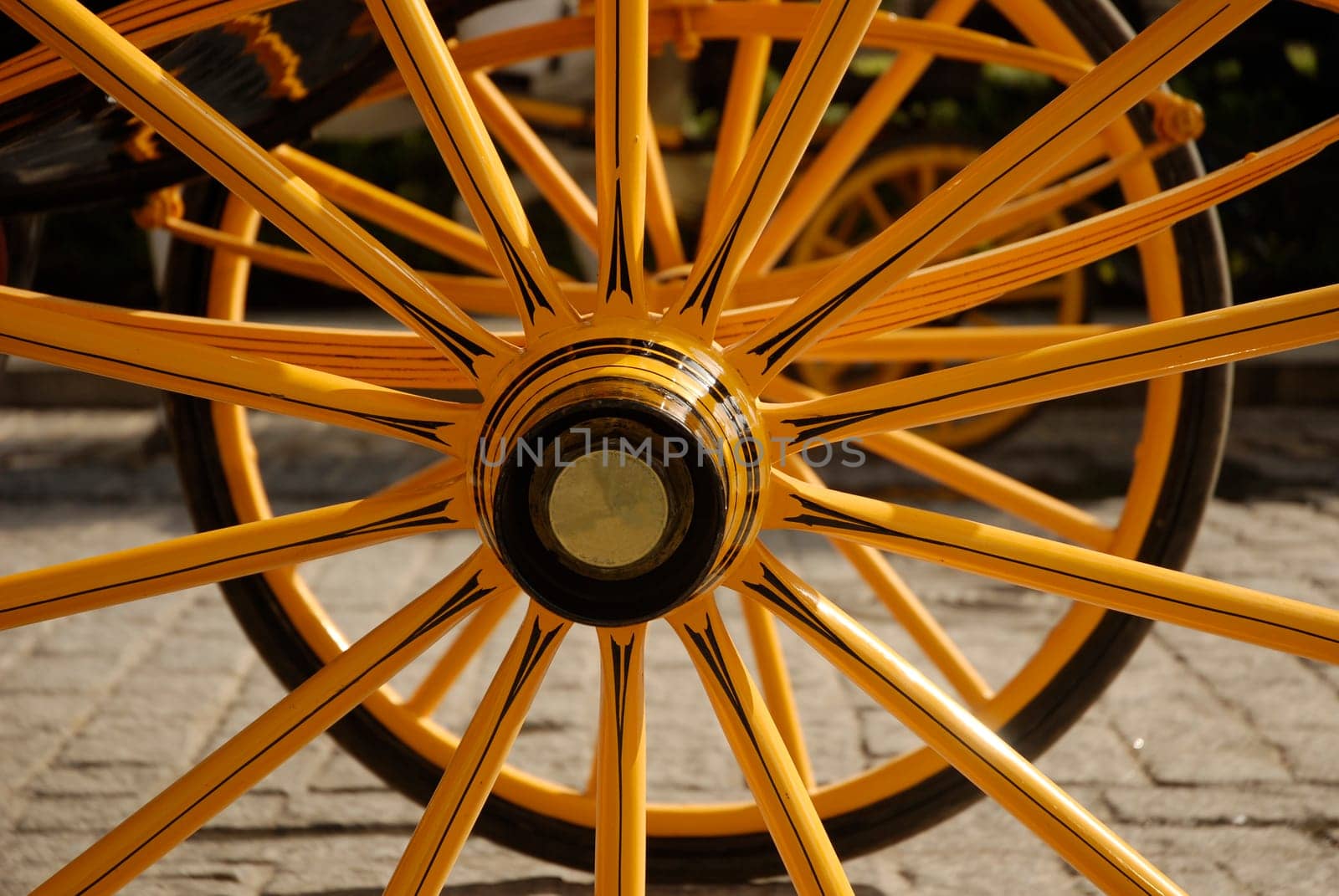 Spokes