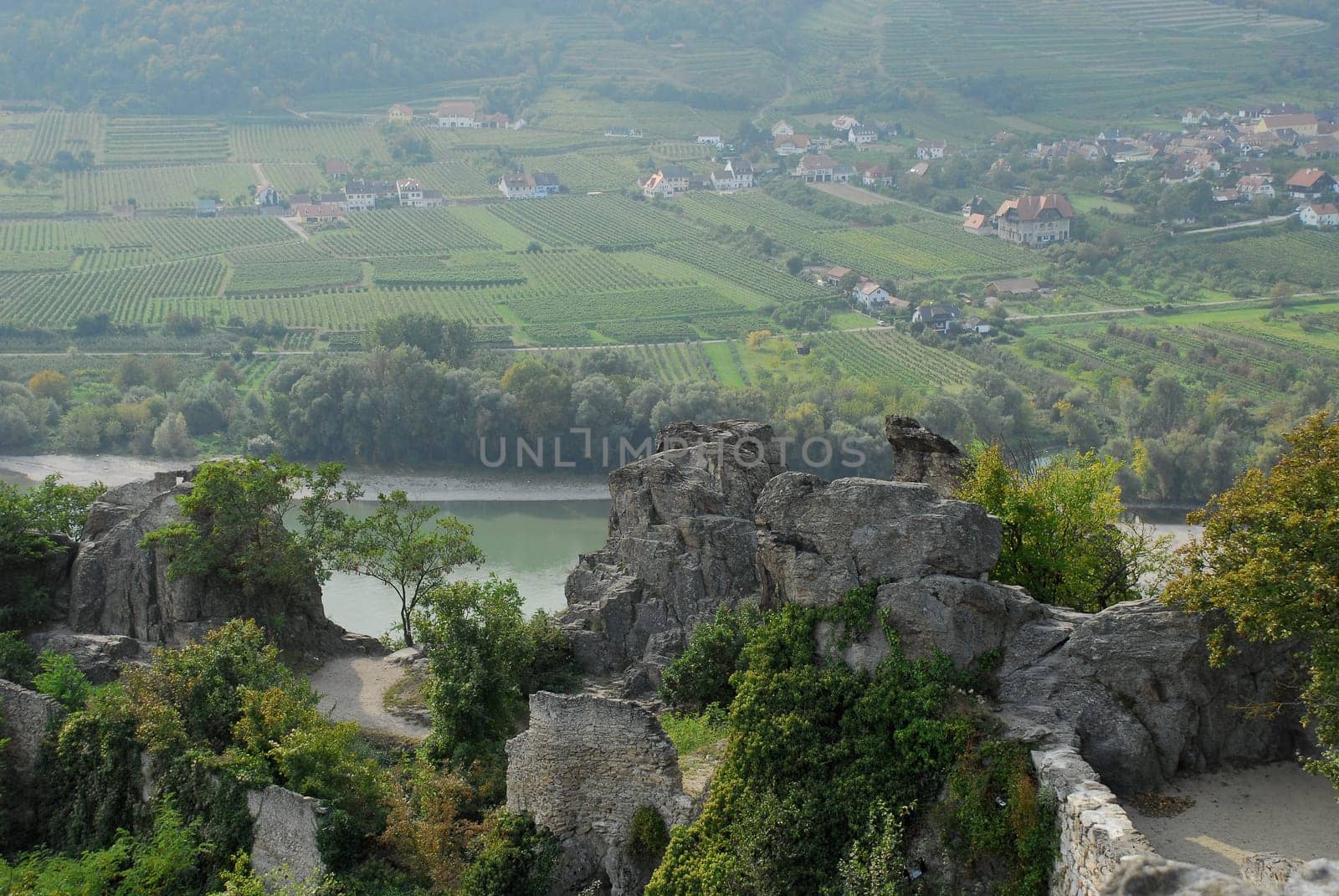 view