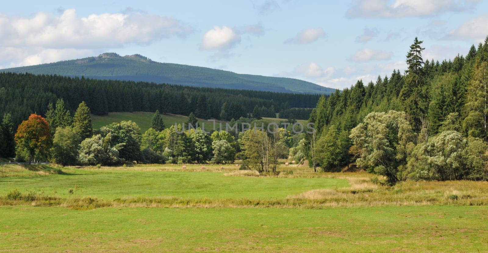 In the beautiful Harz Mountains.