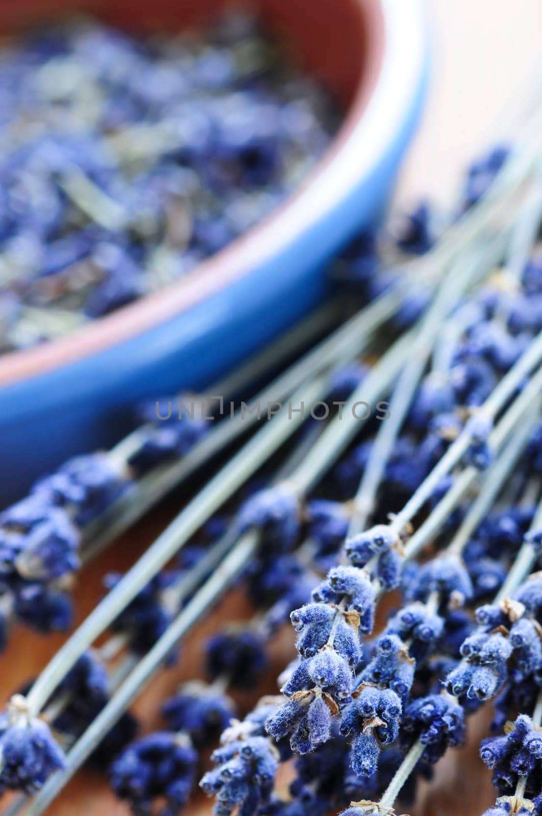 Dried lavender