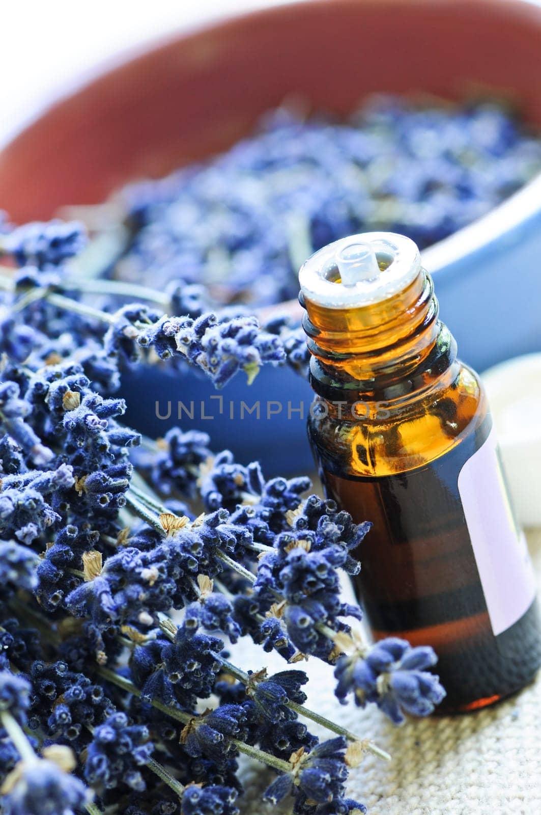 Lavender herb and essential oil