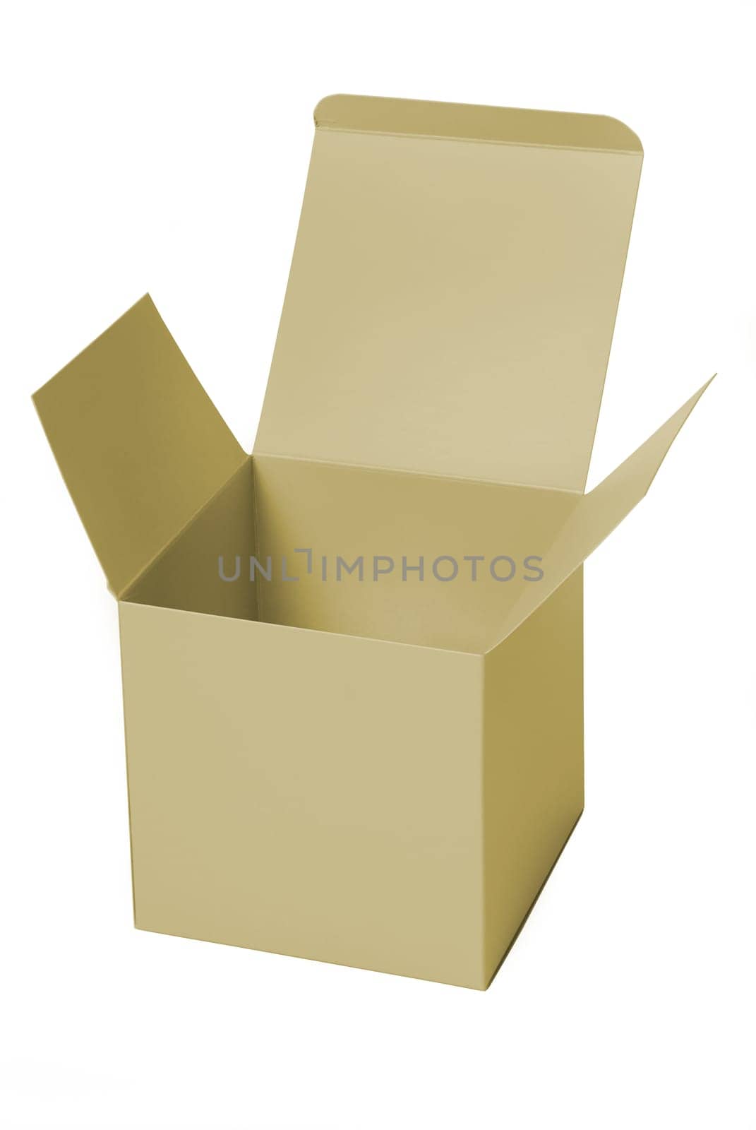 Cardboard