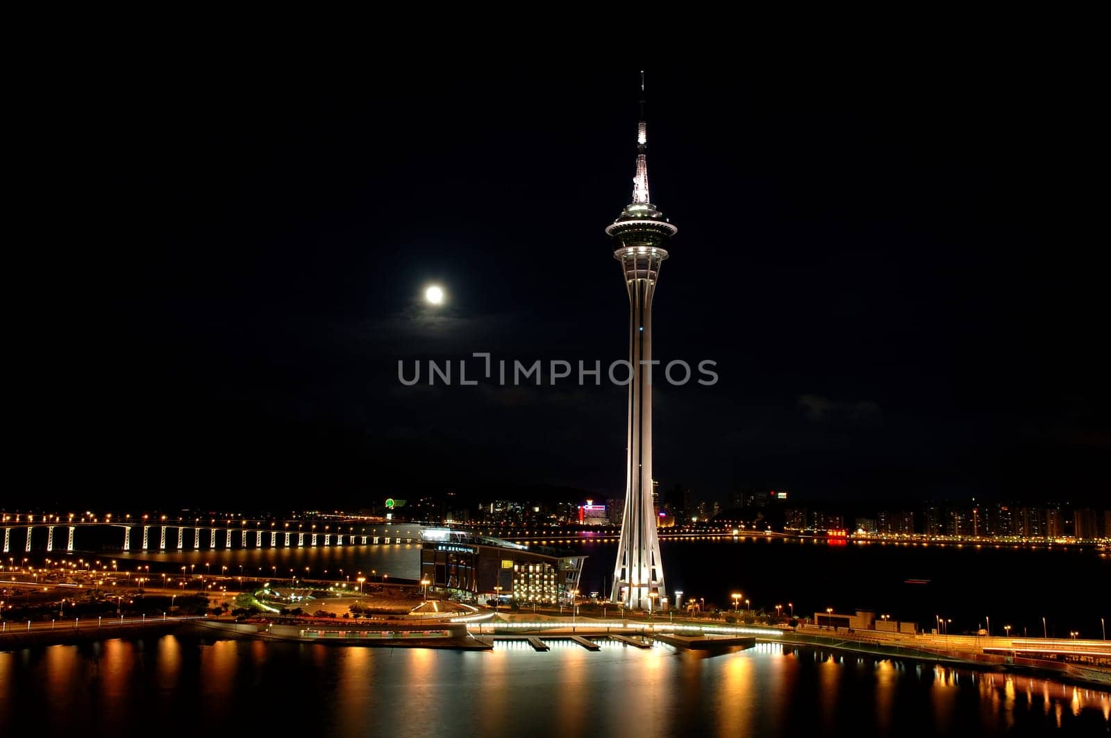 Macau night