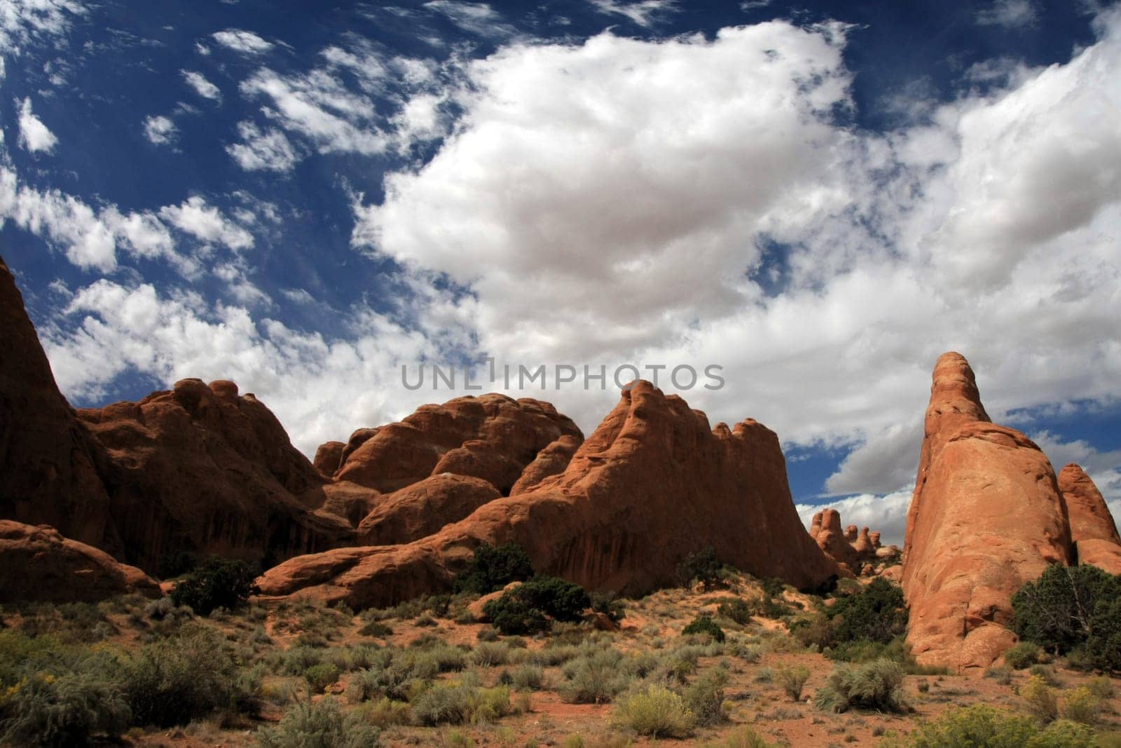 Arches Devils Garden 003