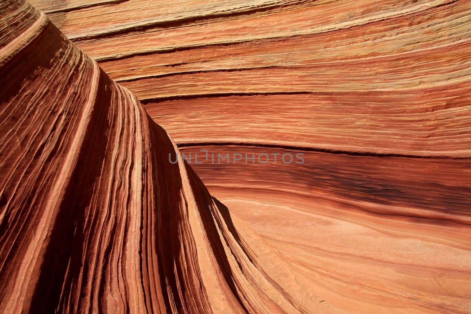 The Wave 022