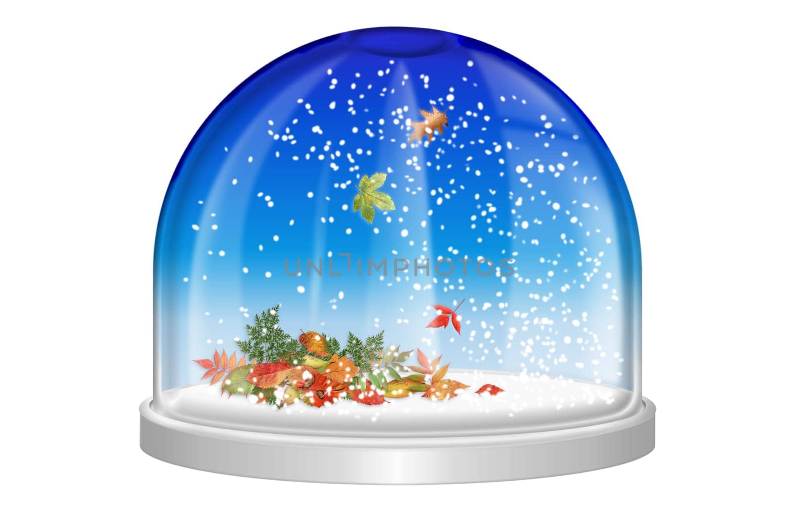 Snow Globe -14-