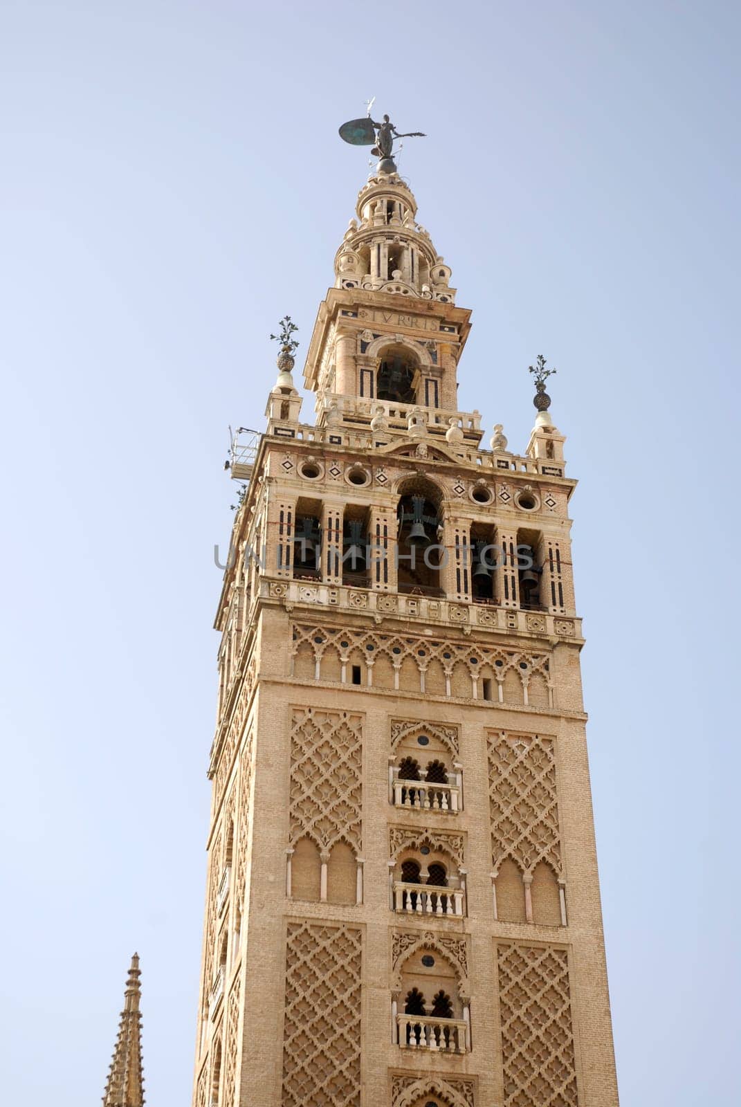 Seville Cathedral