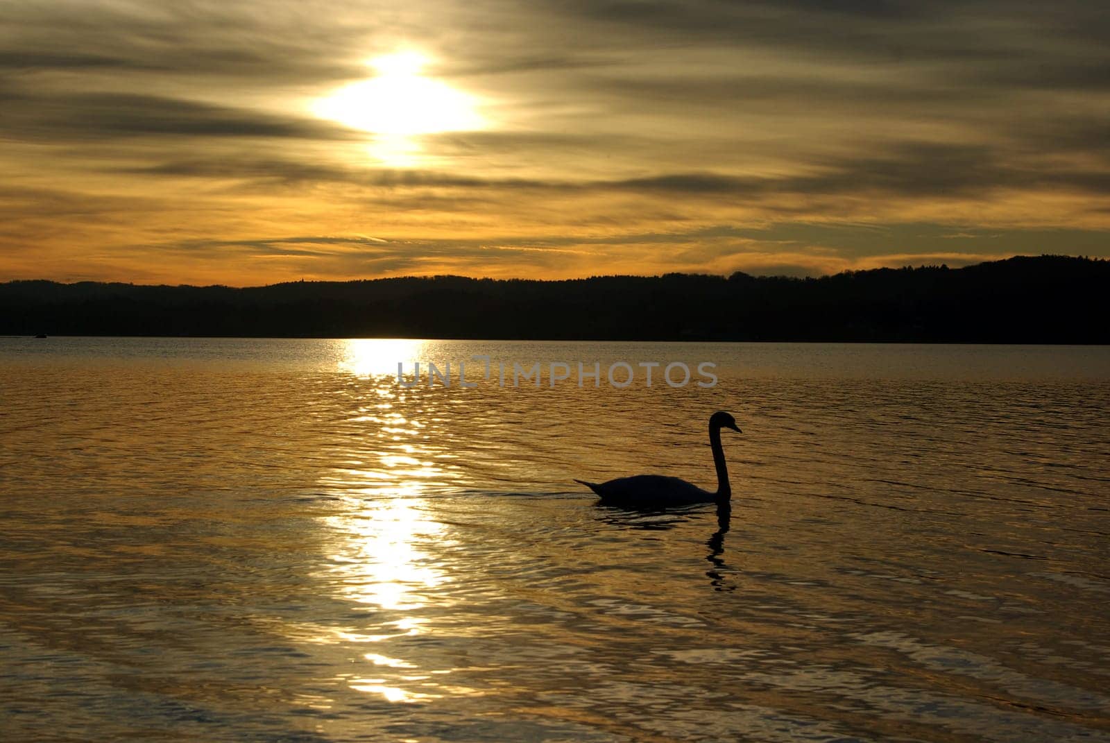 Lake Starnberg Romance