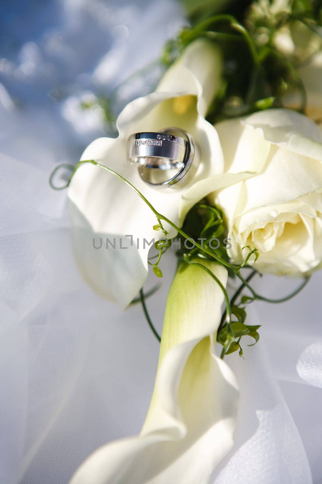 Wedding Rings in Kalla