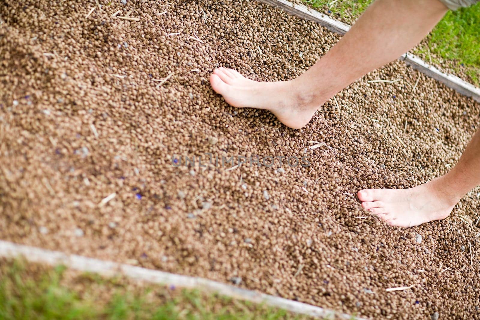 Barefoot path