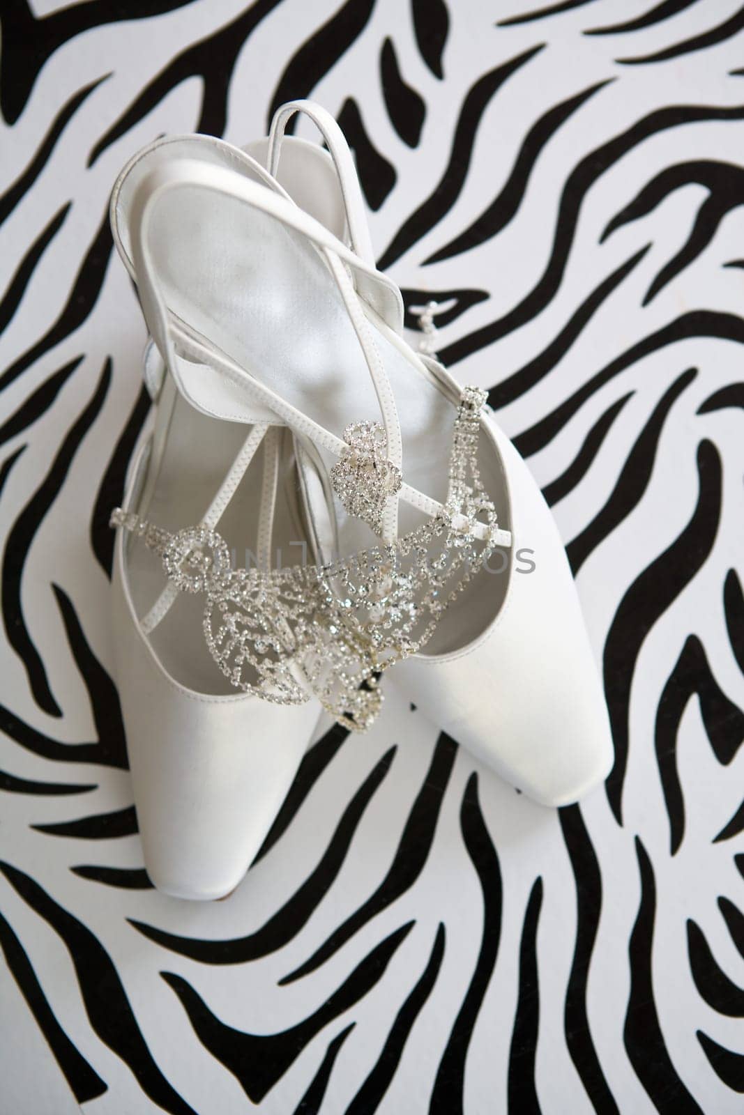 Bridal Shoes and Jewelry