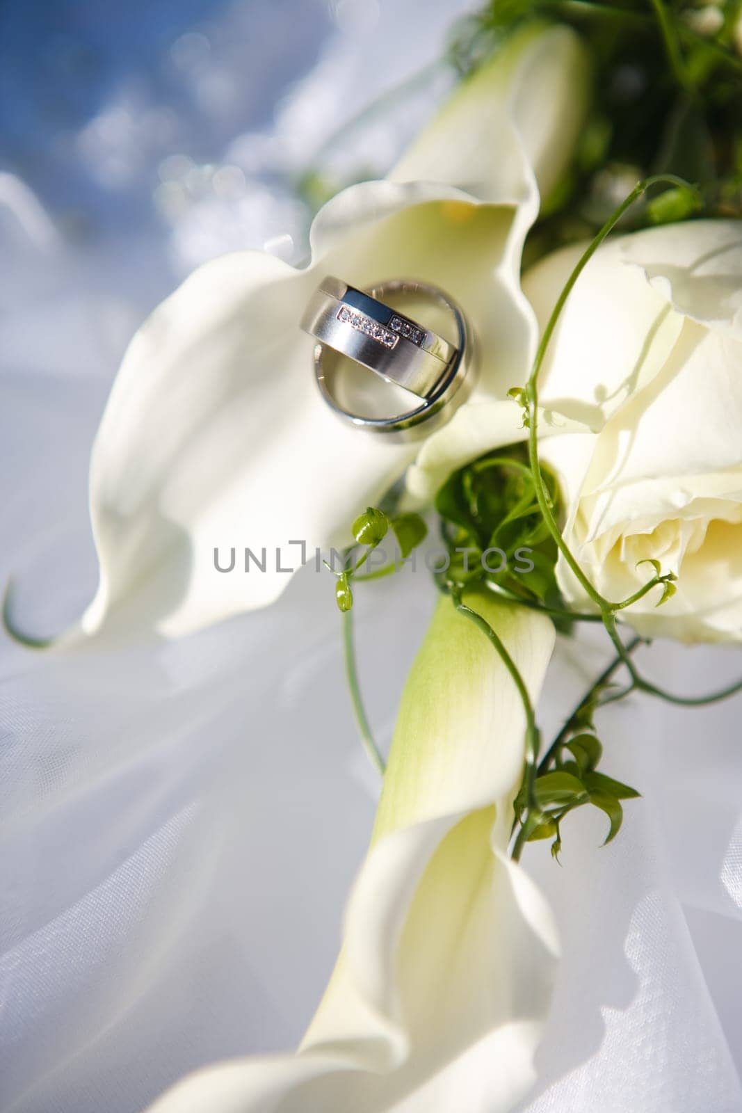 Wedding Rings in Kalla 2