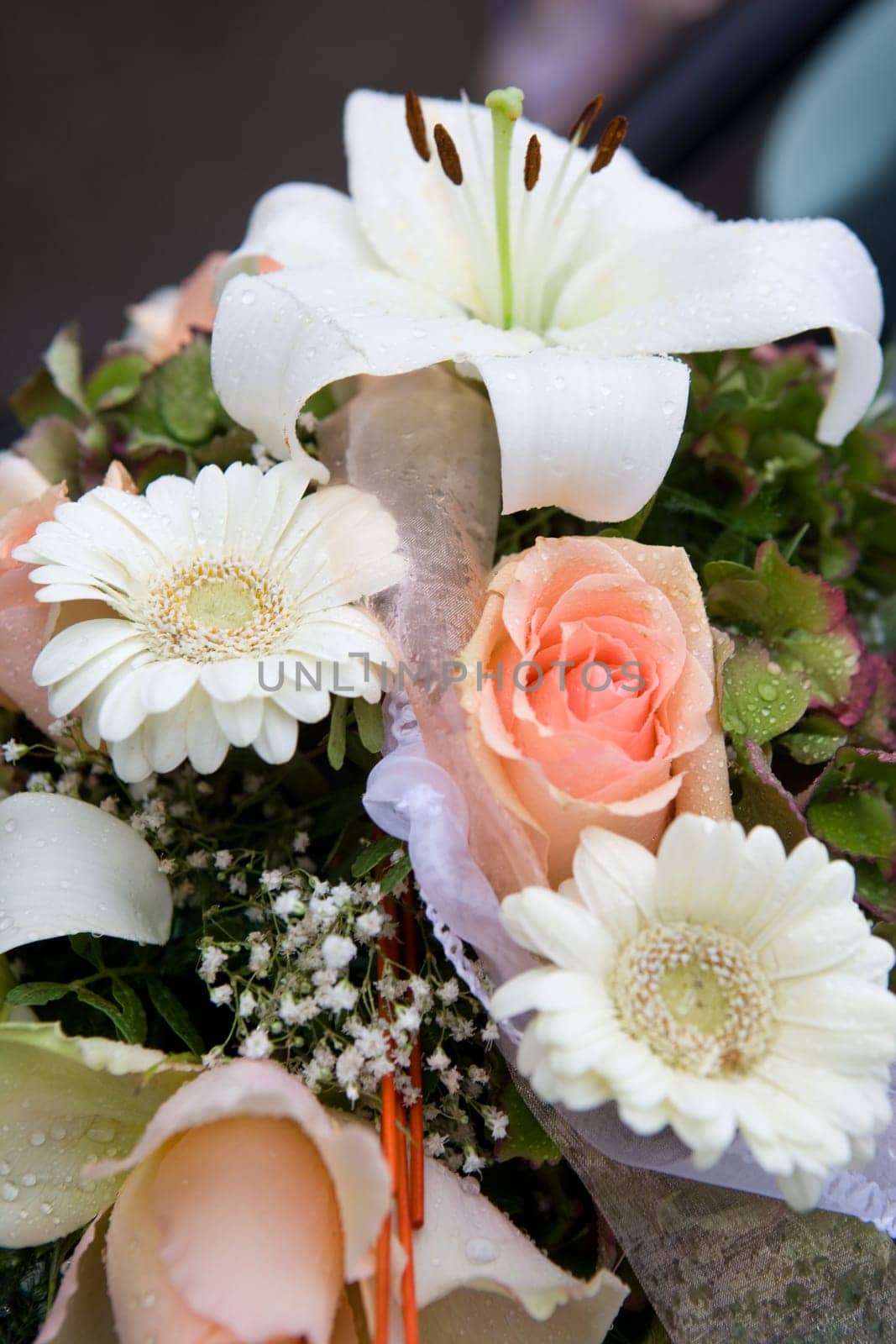 Fresh Flowers