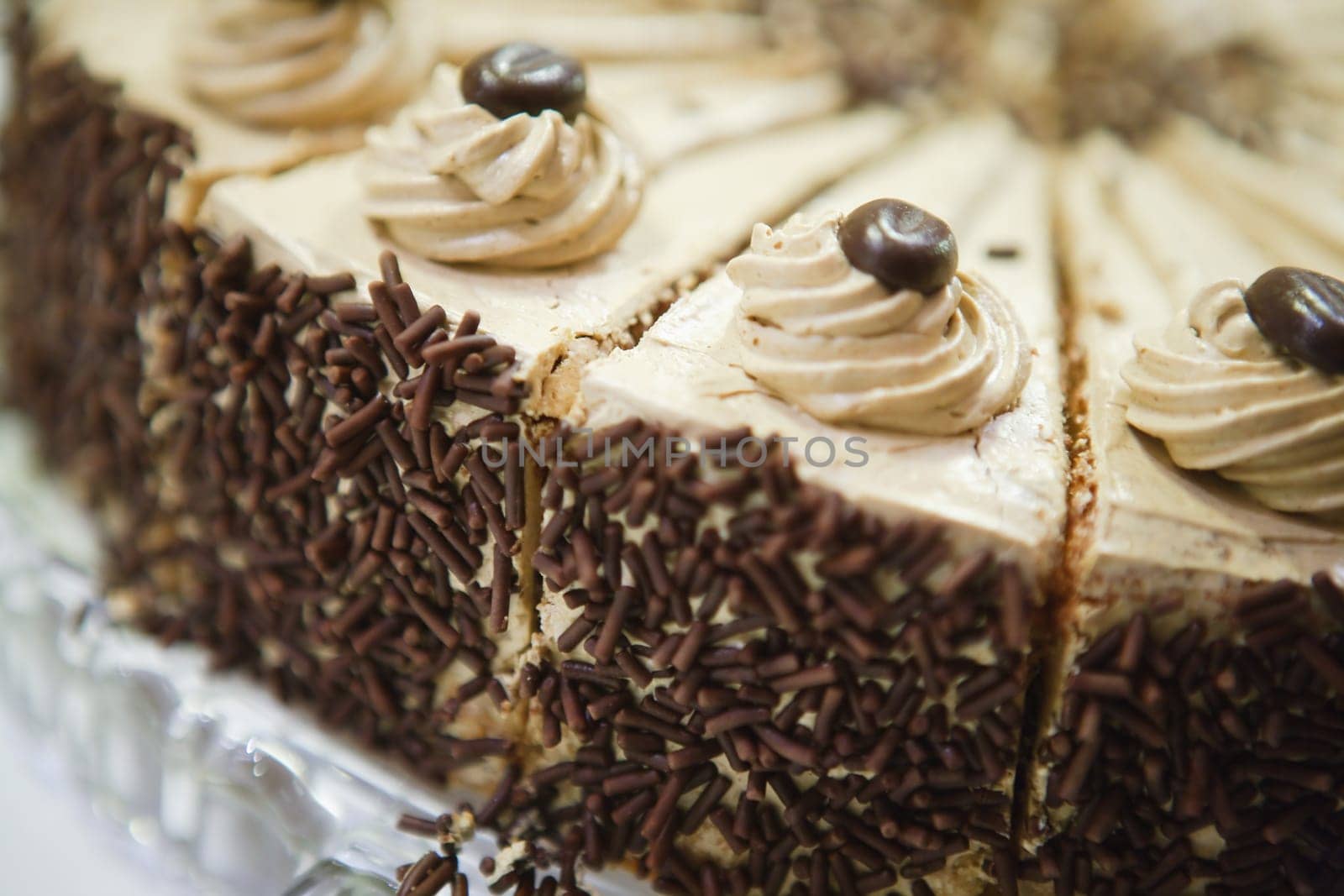 Chocolate Cream Cake