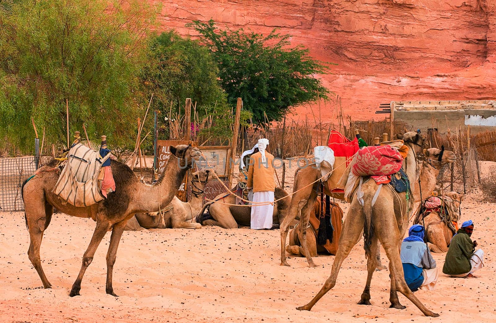 Parking on the desert street