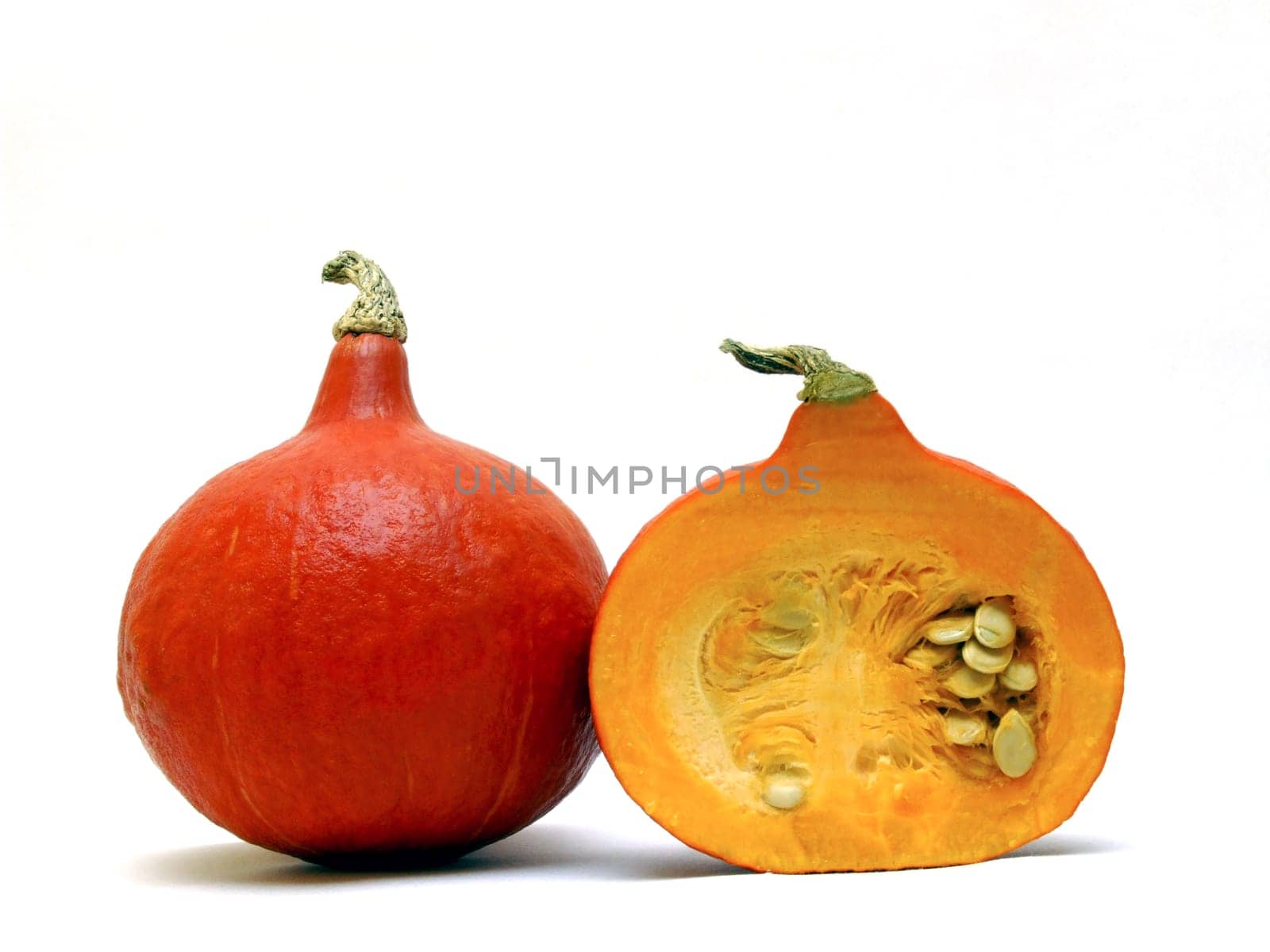 one and a half Hokaido (cucurbita)