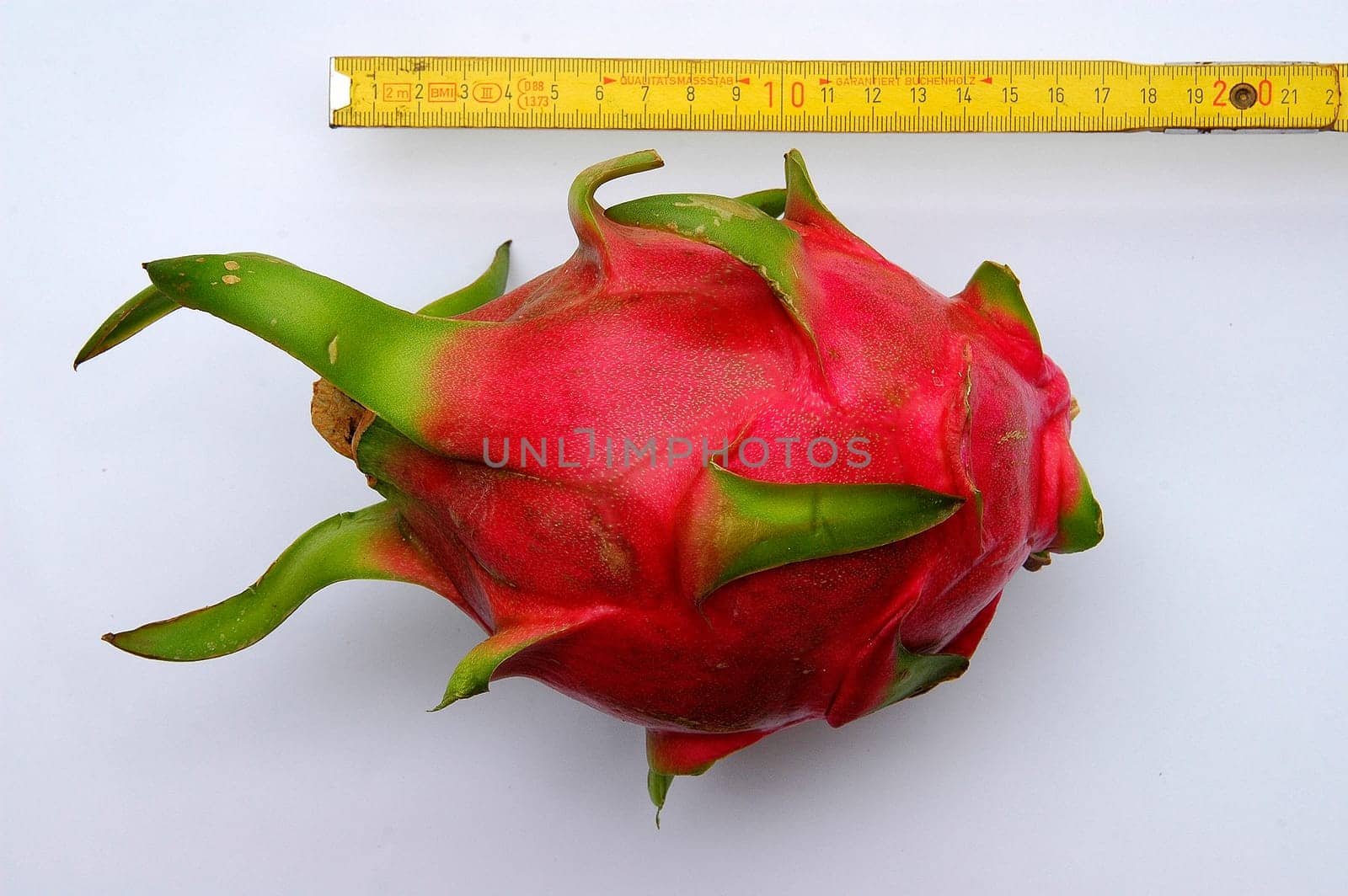 Red Dragon Fruit,Size Comparison