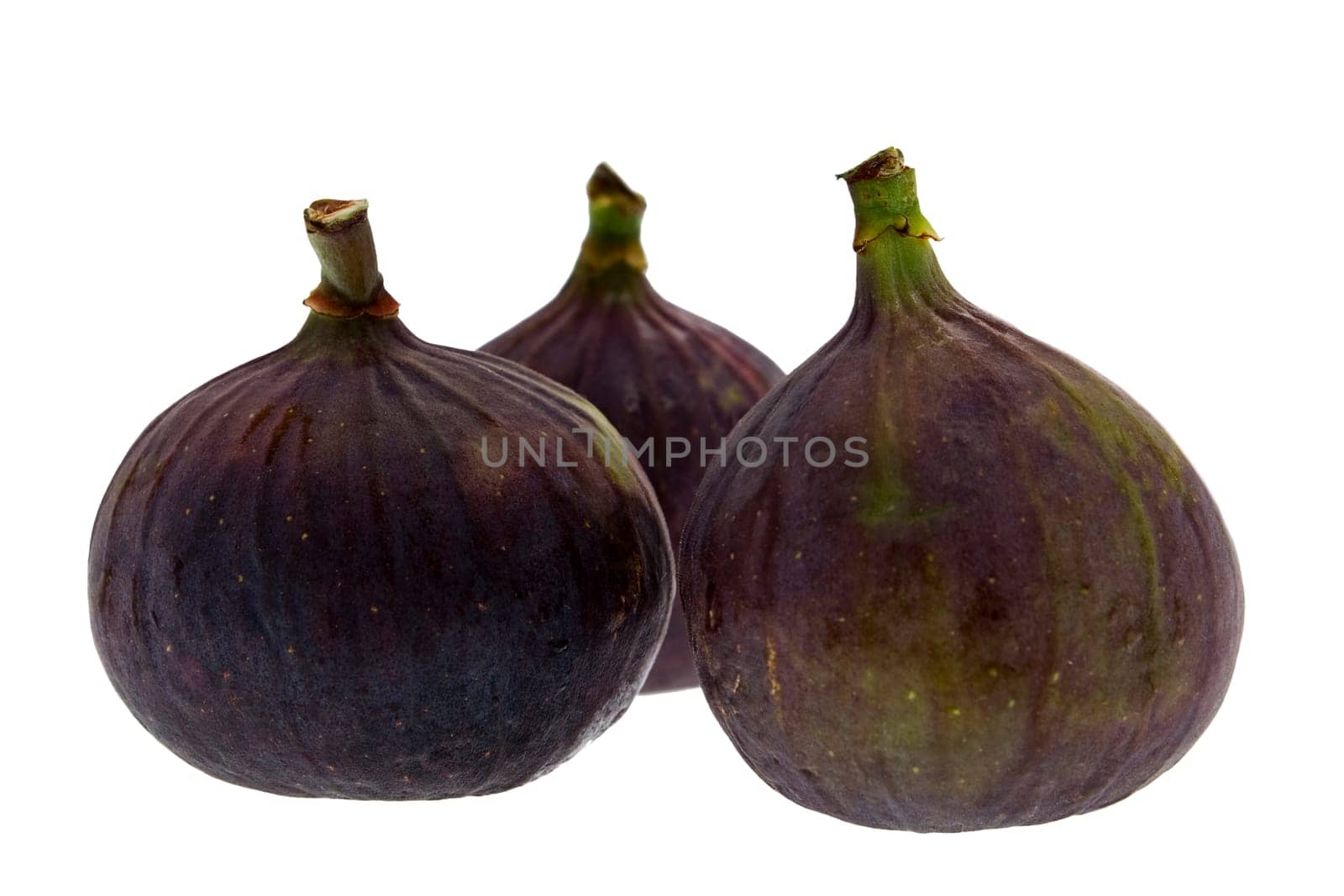 Fig