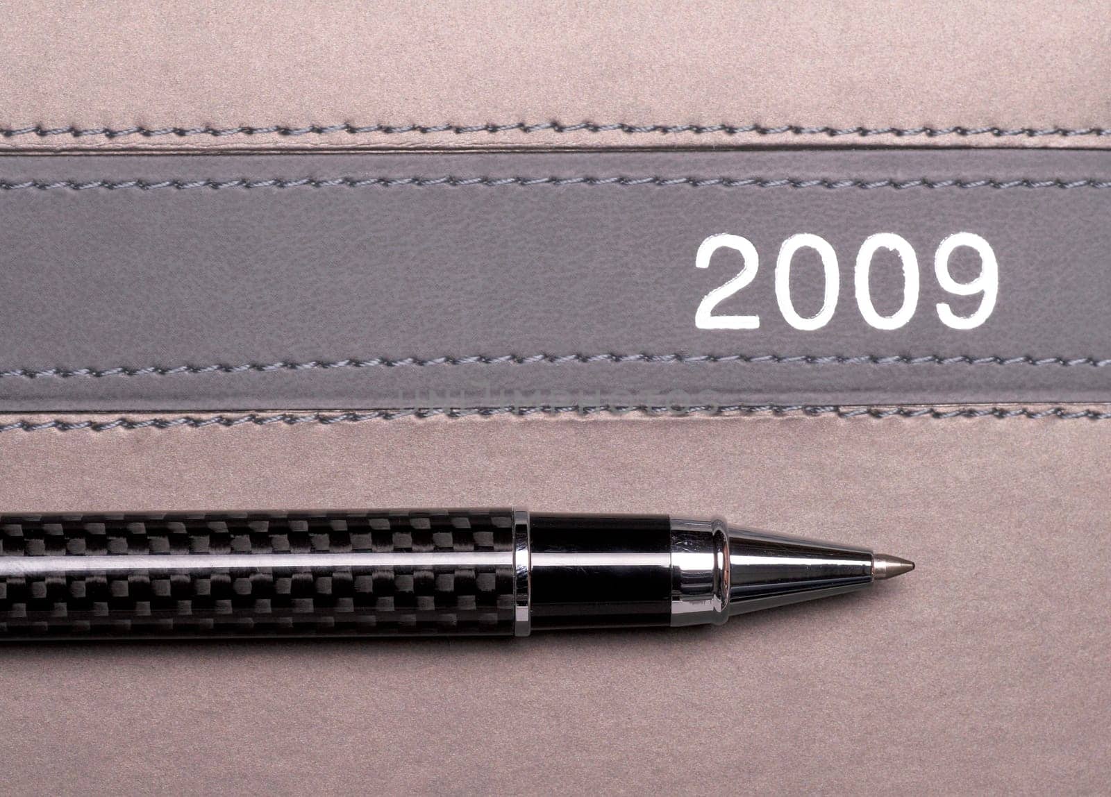 Pen On 2009 Calendar
