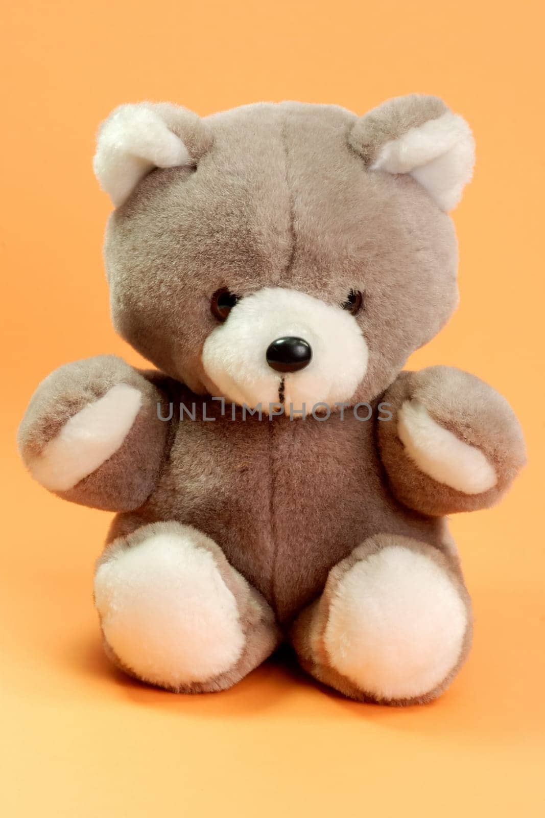 Teddy