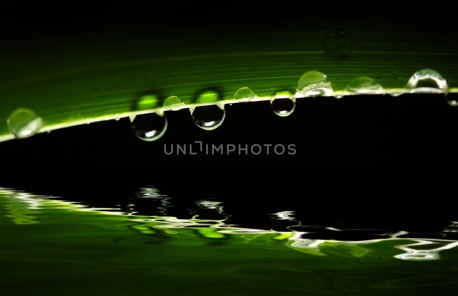 drop background
