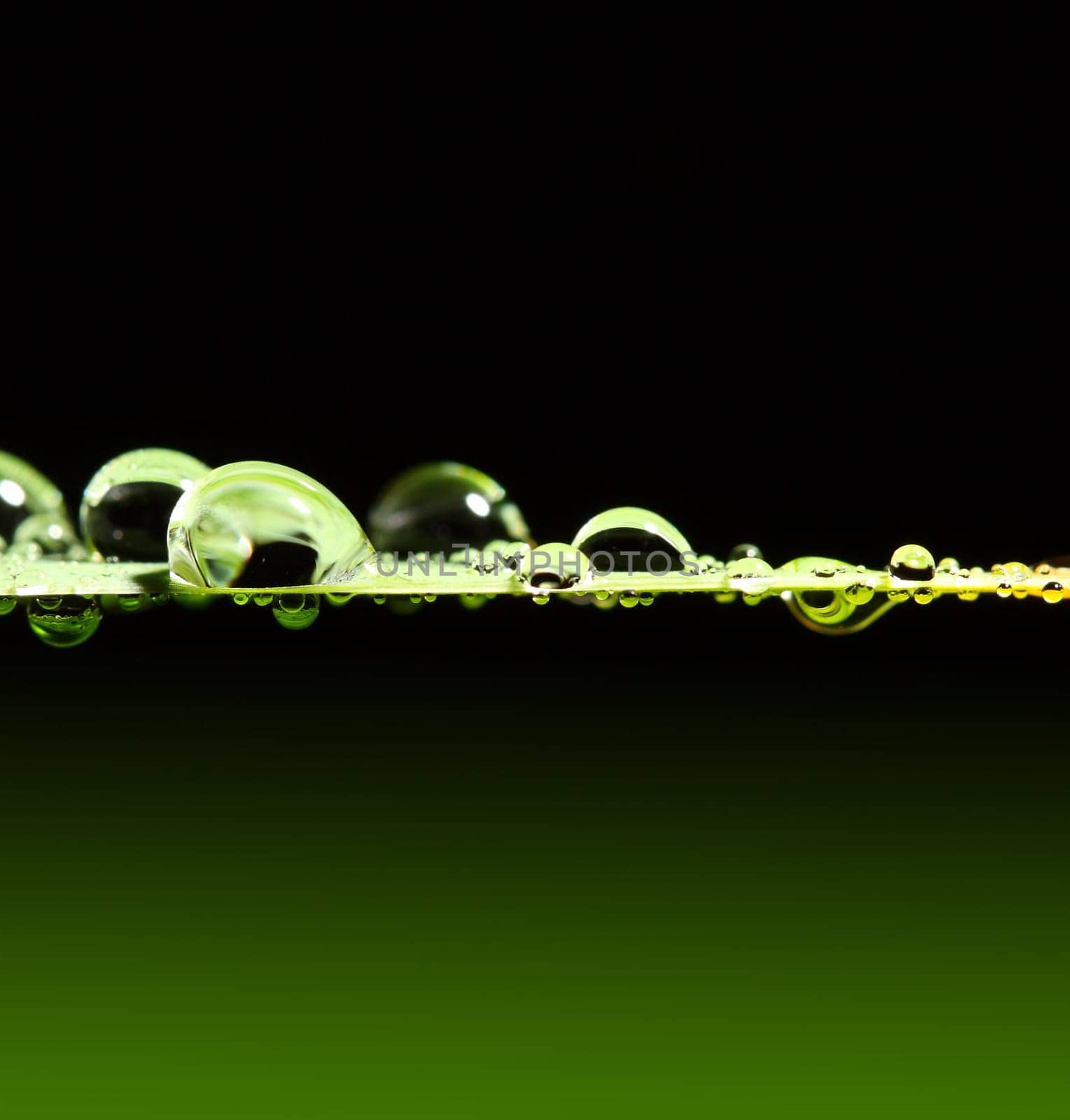 drop background
