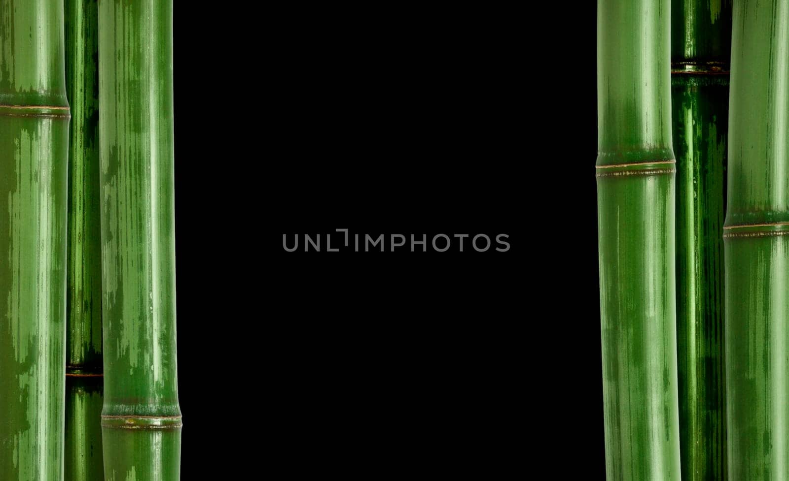 hard bamboo background