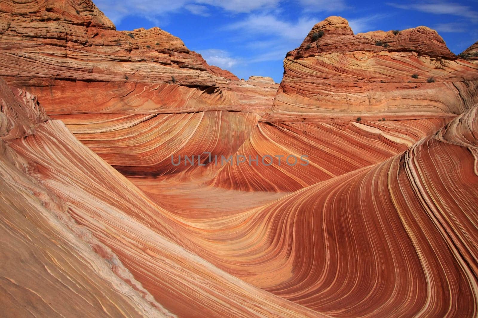 The Wave 025