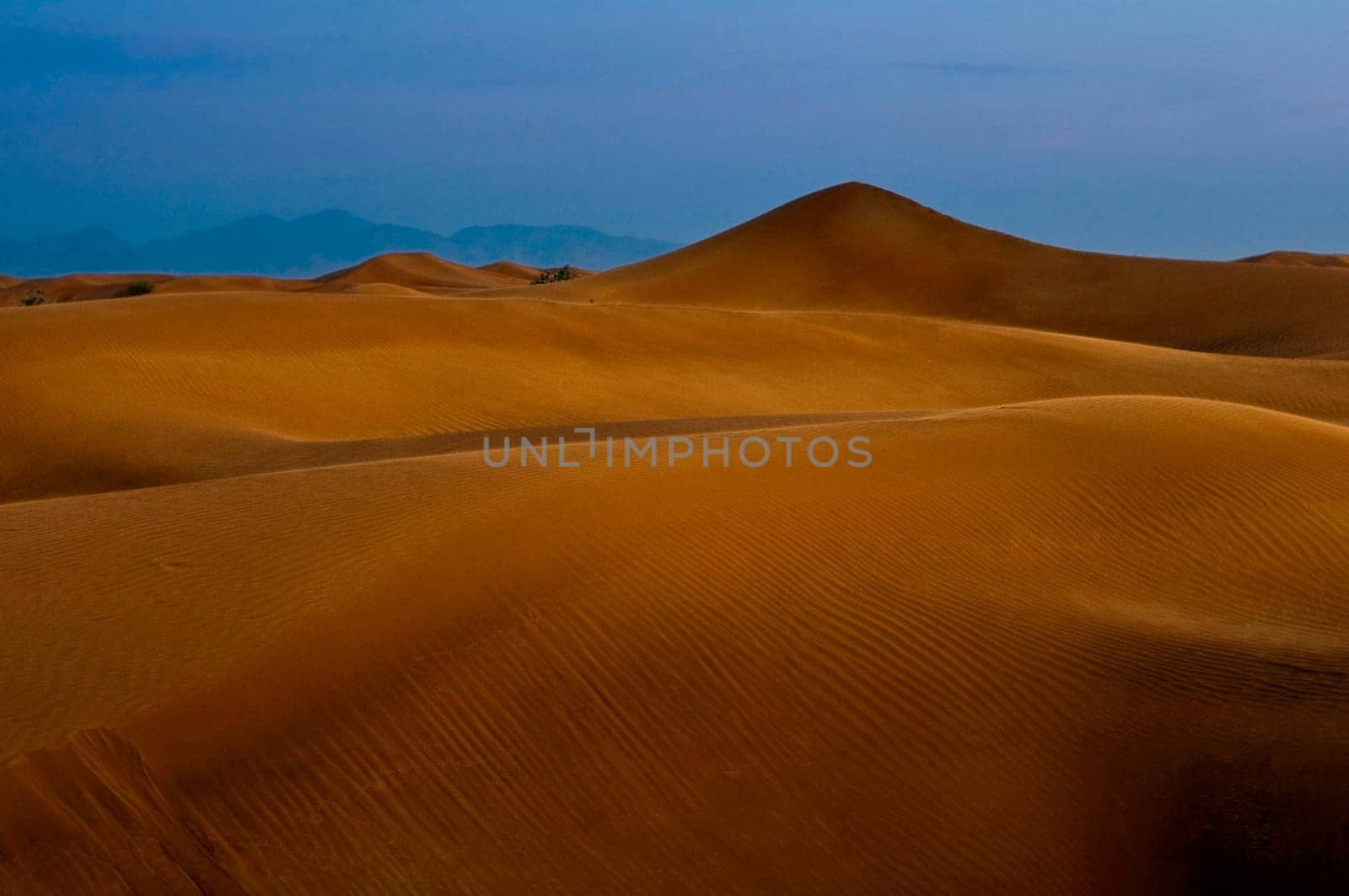 Desert 7