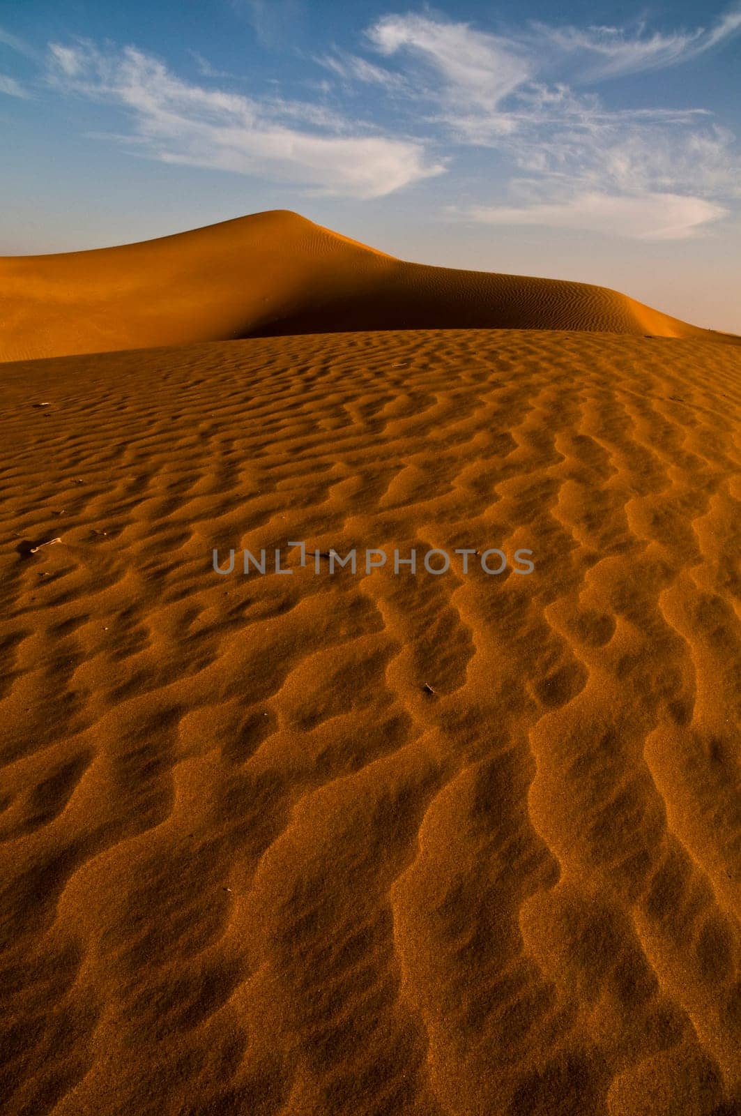 Desert 1