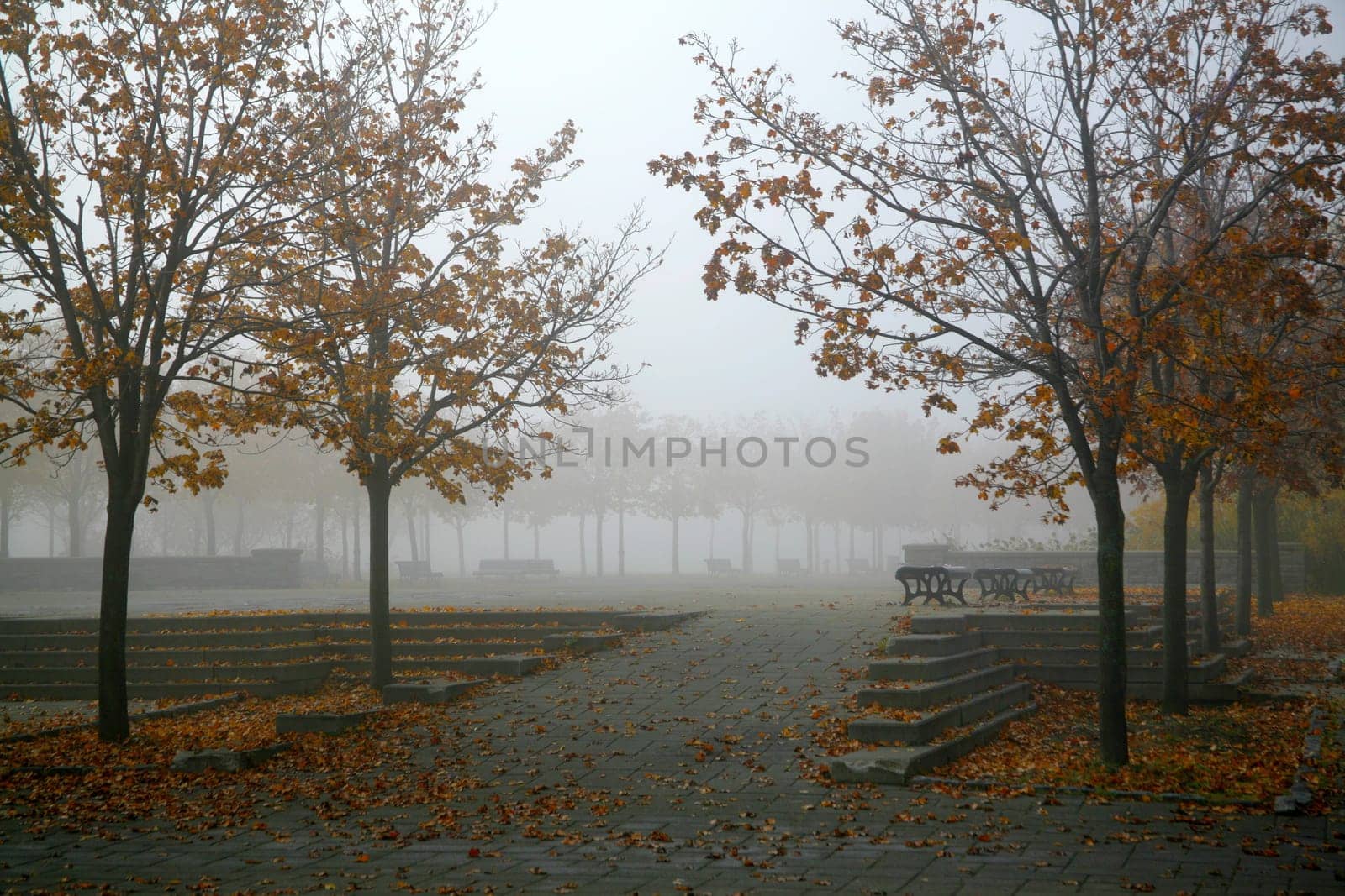 Autumn Park