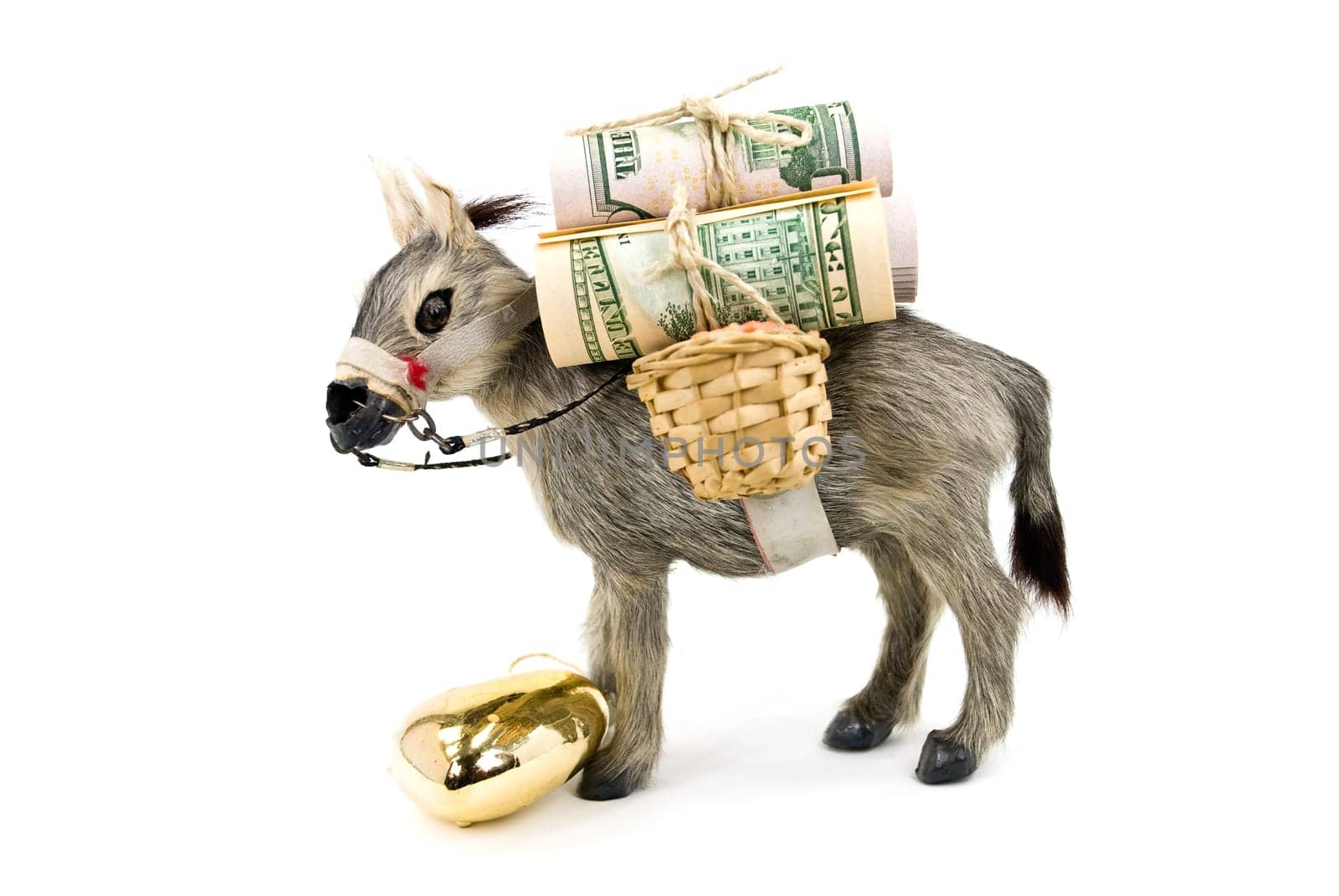 Gold - Donkey