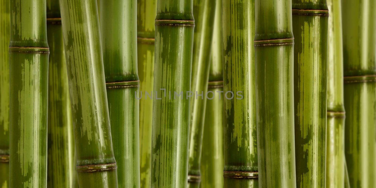 hard bamboo background