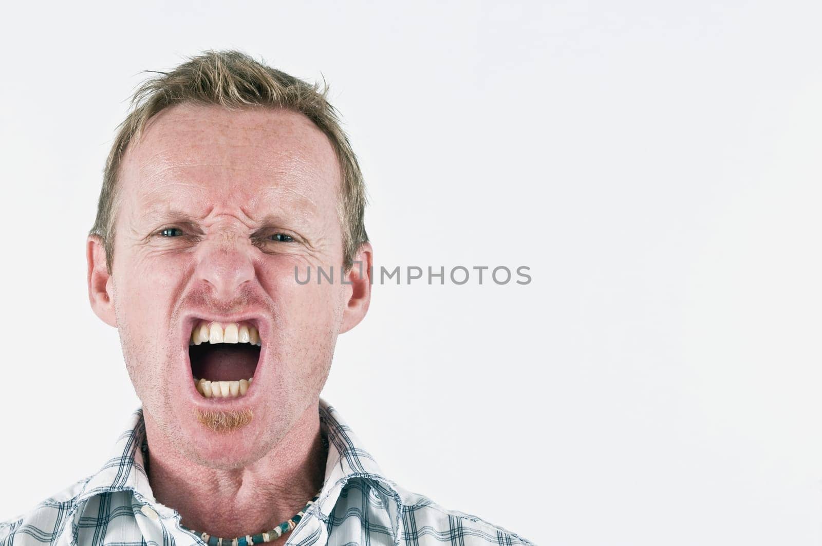 The Scream