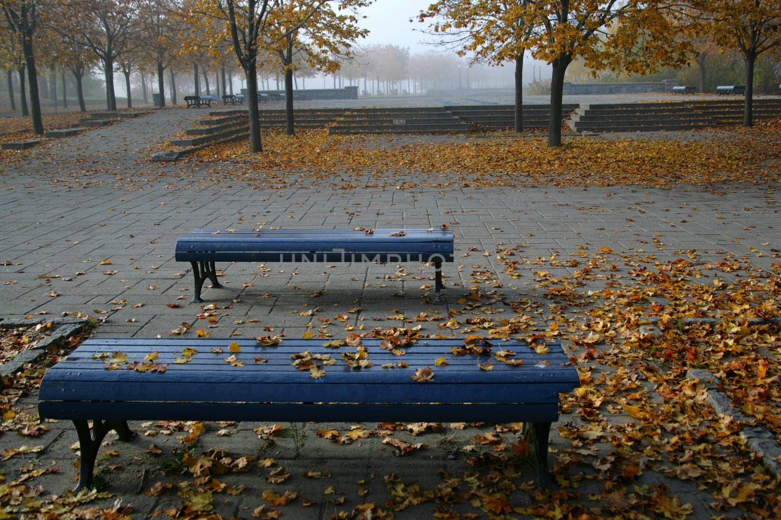 Park in autumn