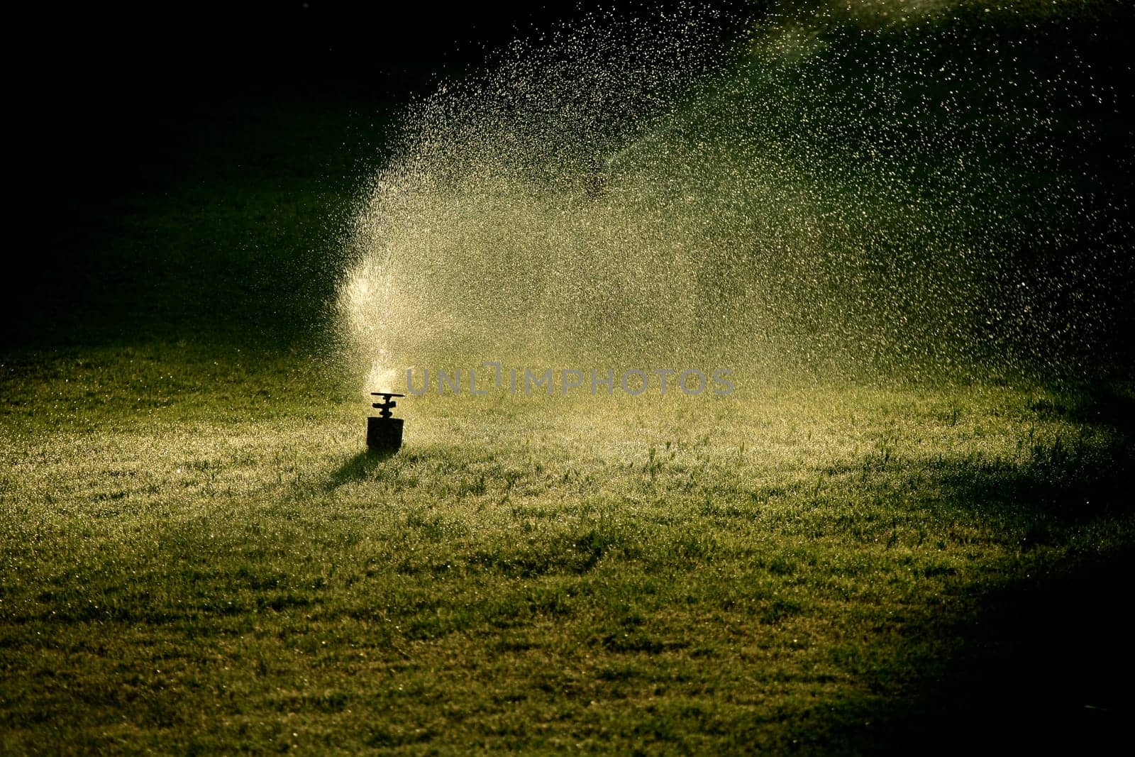 extinguish on green grass