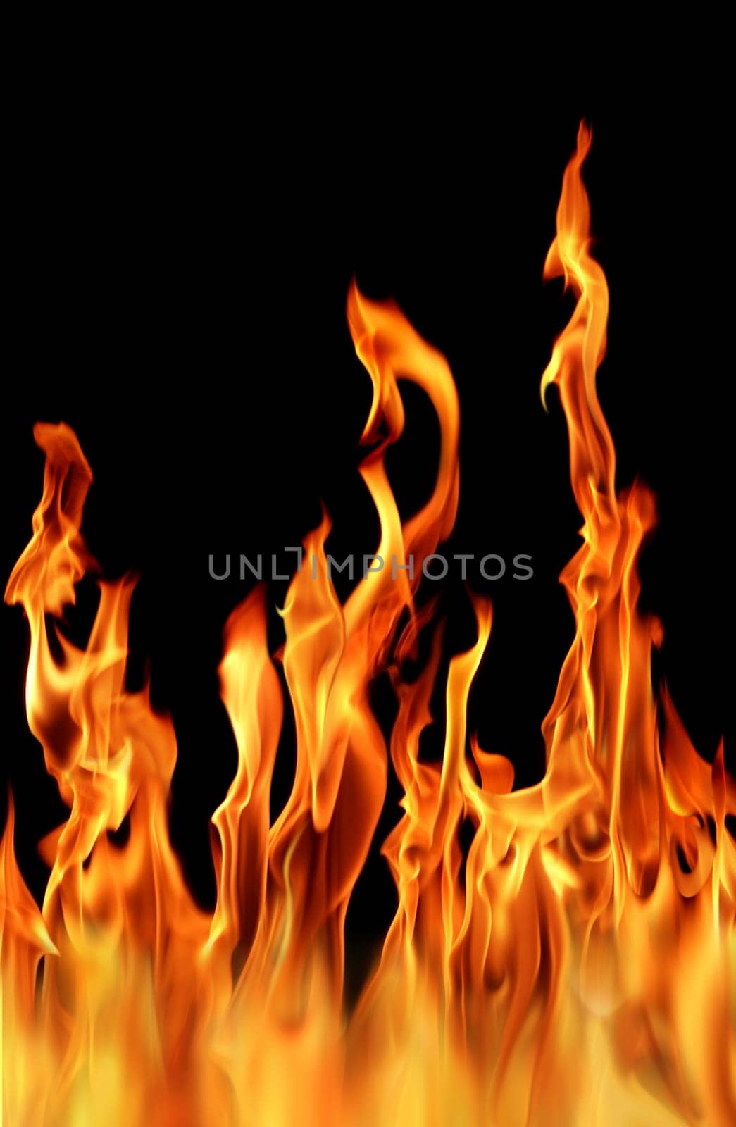 fire flame in black background