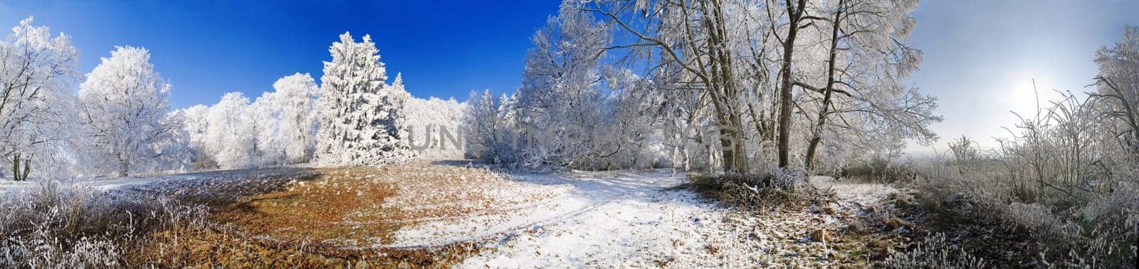 Winter day