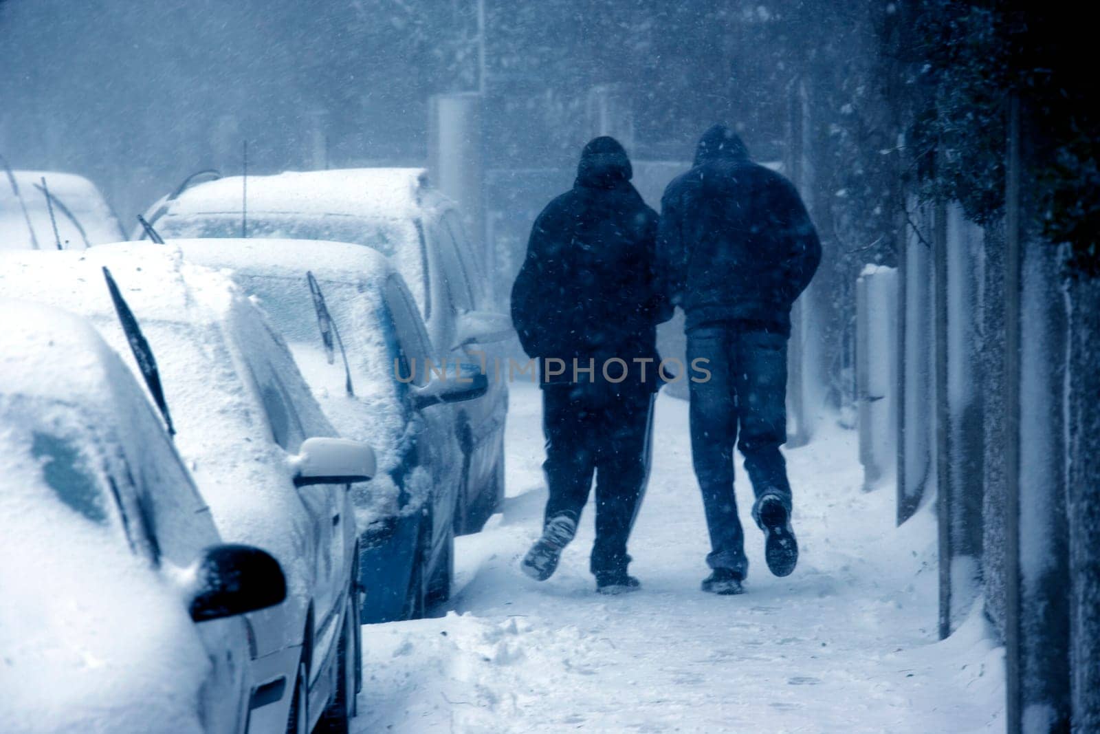 cars covered with snow