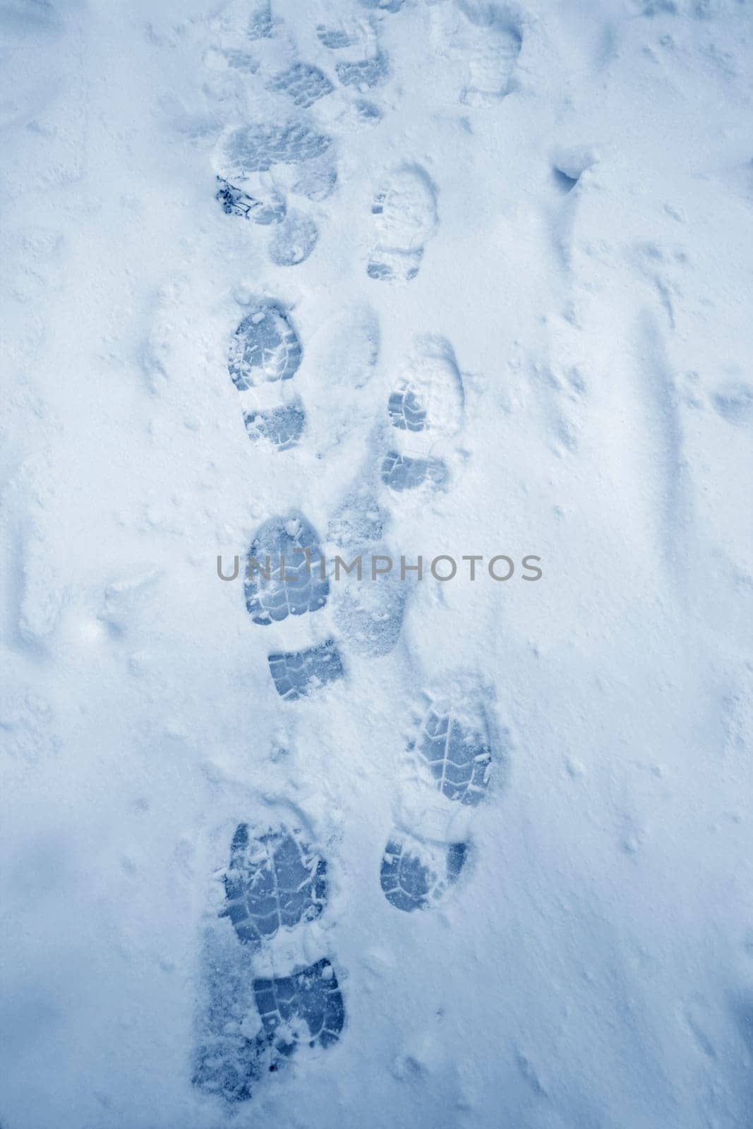 footprints on snow covered ground