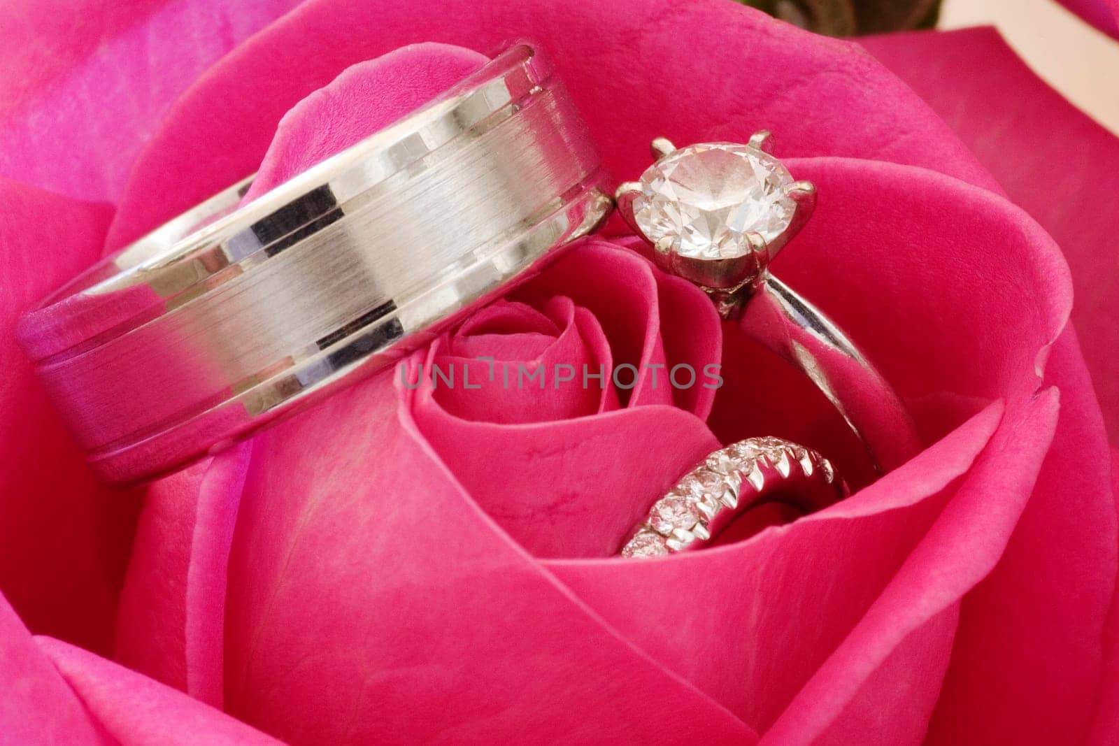 Wedding Rings In Red Rose
