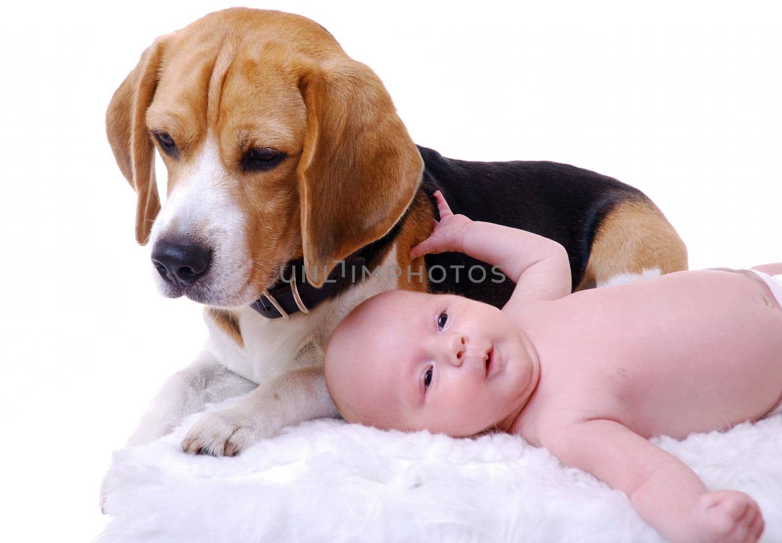 Protector