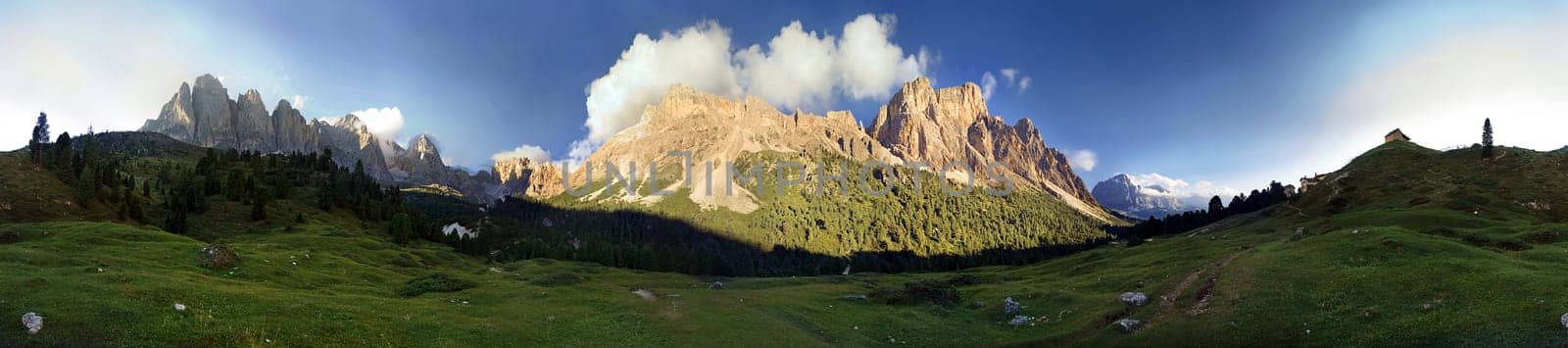 Stevia Panorama