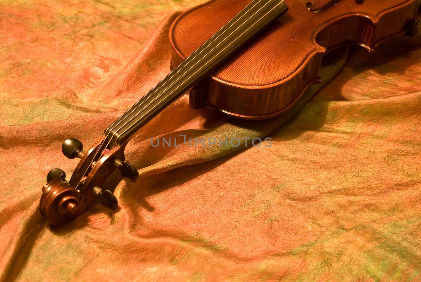 Violin