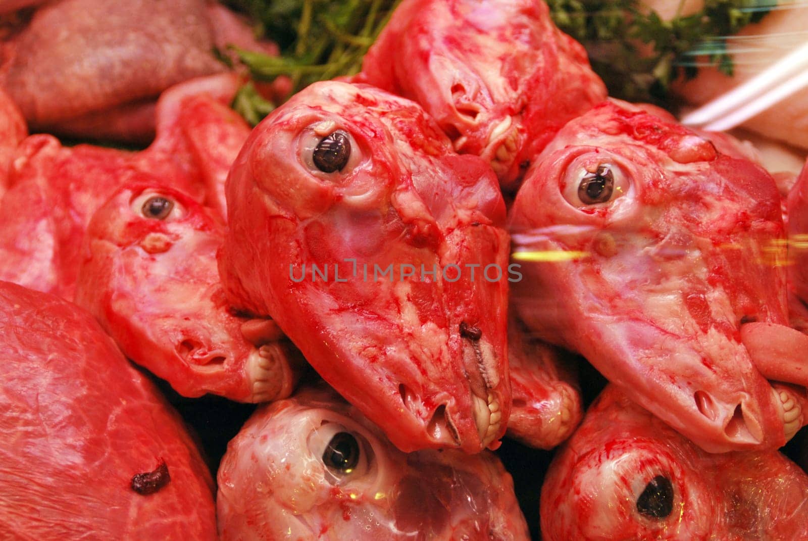 Lamb heads 6864