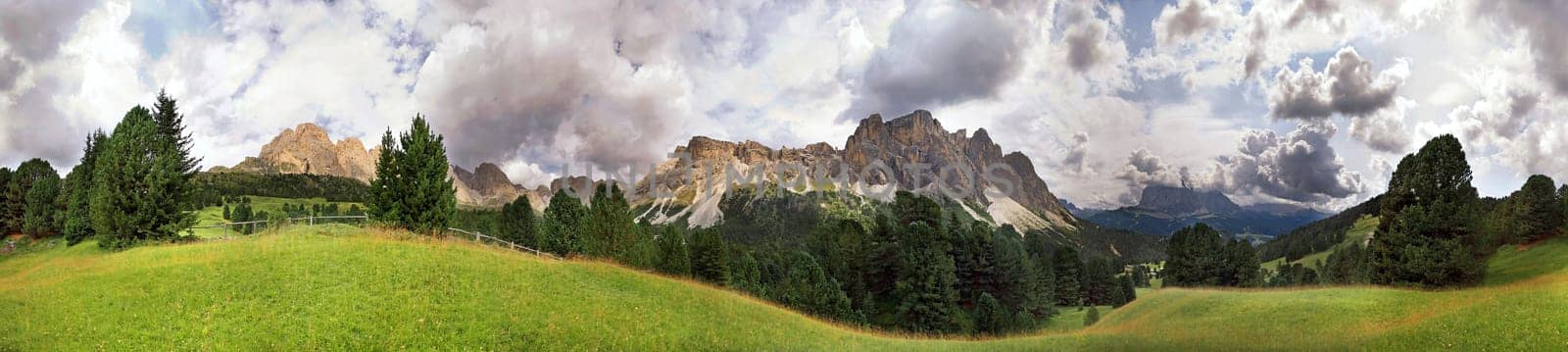 Stevia Panorama 2