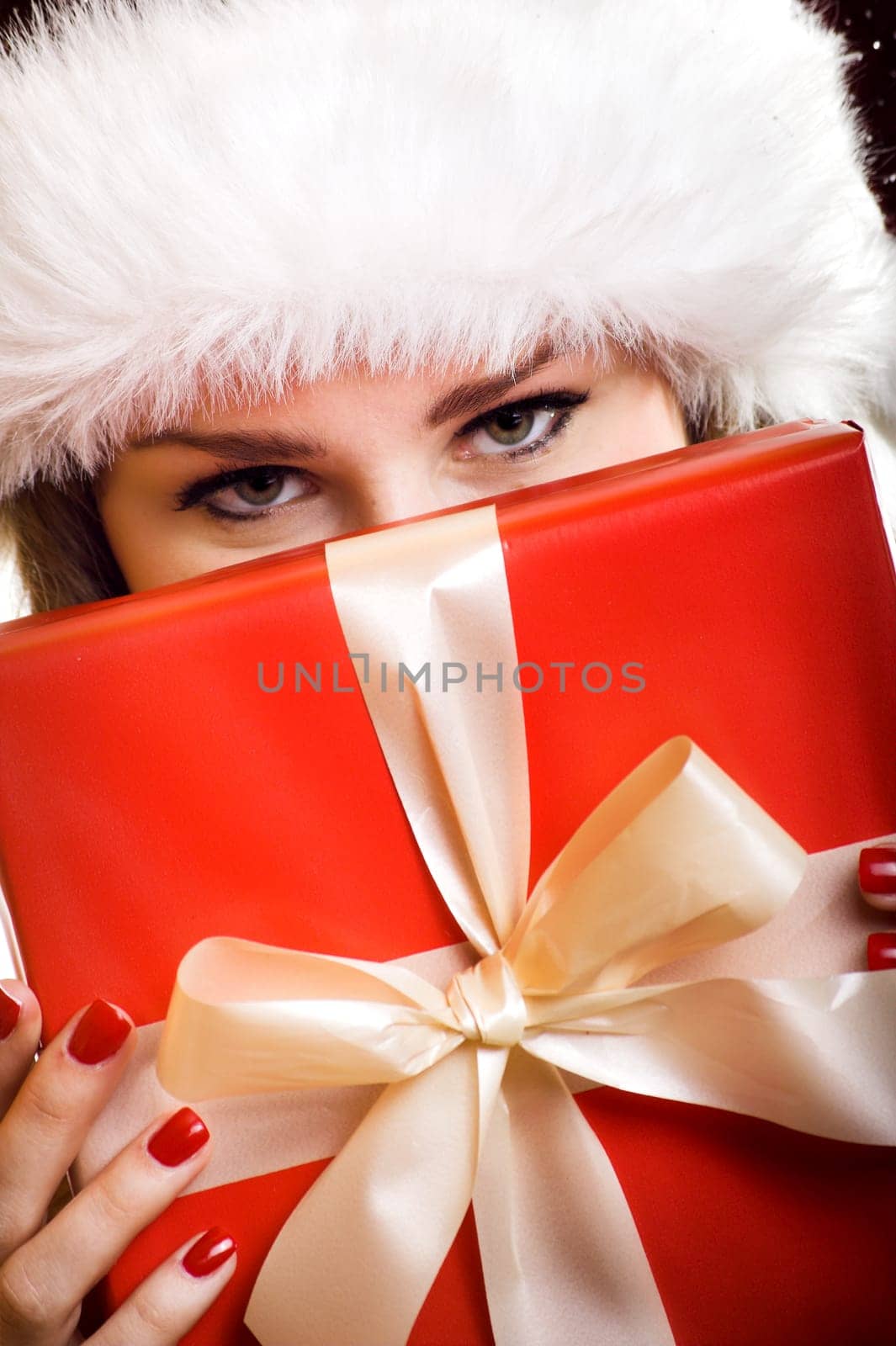 Santa Claus with gift