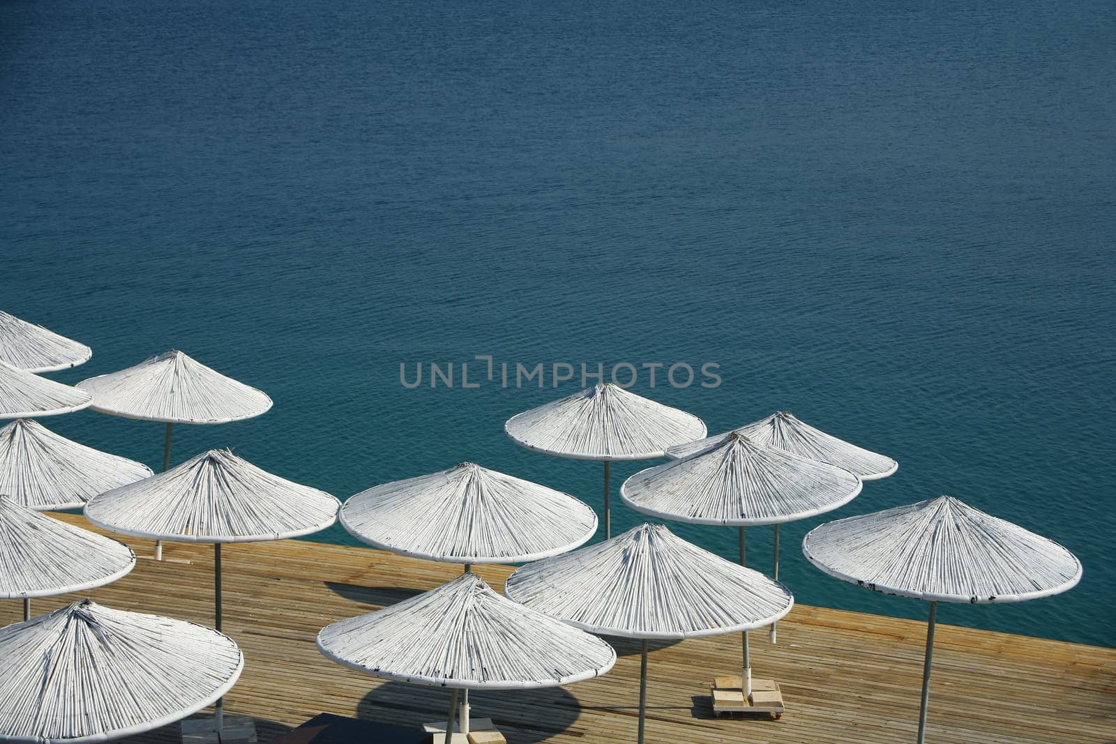 white umbrellas